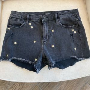 Driftwood Shorts Size 31